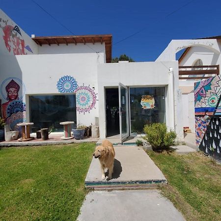 Rada Tilly Roots Backpackersホステル エクステリア 写真